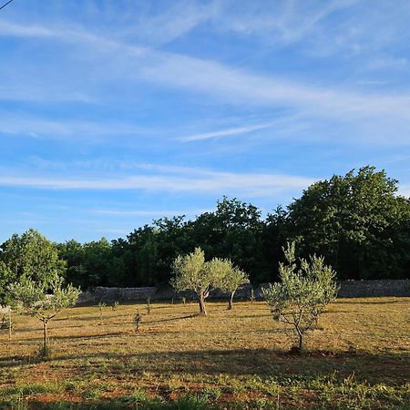 Stancija Lottegaly - Green Holiday Vodnjan Εξωτερικό φωτογραφία